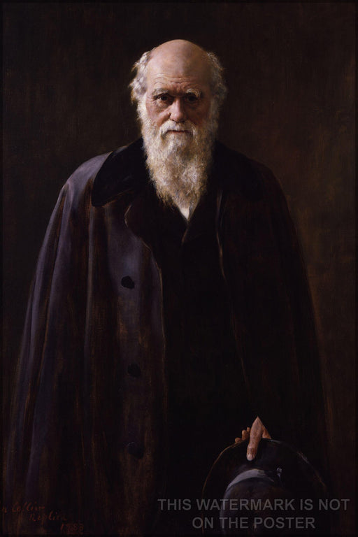 24"x36" Gallery Poster, charles darwin c1881 by John Collier  p2