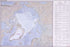 24"x36" Gallery Poster, cia map of arctic north pole region 2008