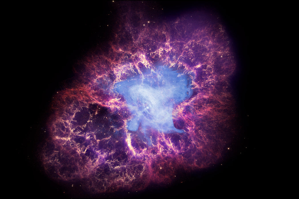 24"x36" Gallery Poster, crab nebula composite chandra hubble spitzer space telescopes