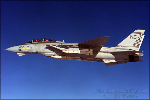 Poster, Many Sizes Available; F-14 Tomcat P2