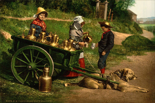 Poster, Many Sizes Available; Belgian Milk Peddlers Photochrom Of Belgian Milk Peddlers With A Dogcart, C. 1890â1900