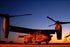 Poster, Many Sizes Available; Mv-22 Osprey At Hurlburt Field