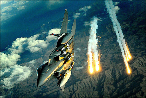 Poster, Many Sizes Available; F-15E Strike Eagle 391St Expeditionary Fighter Squadron