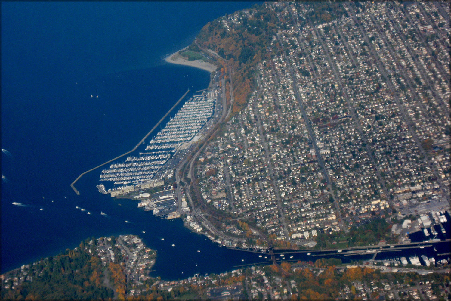 Poster, Many Sizes Available; Aerial View Of Ballard, Seattle