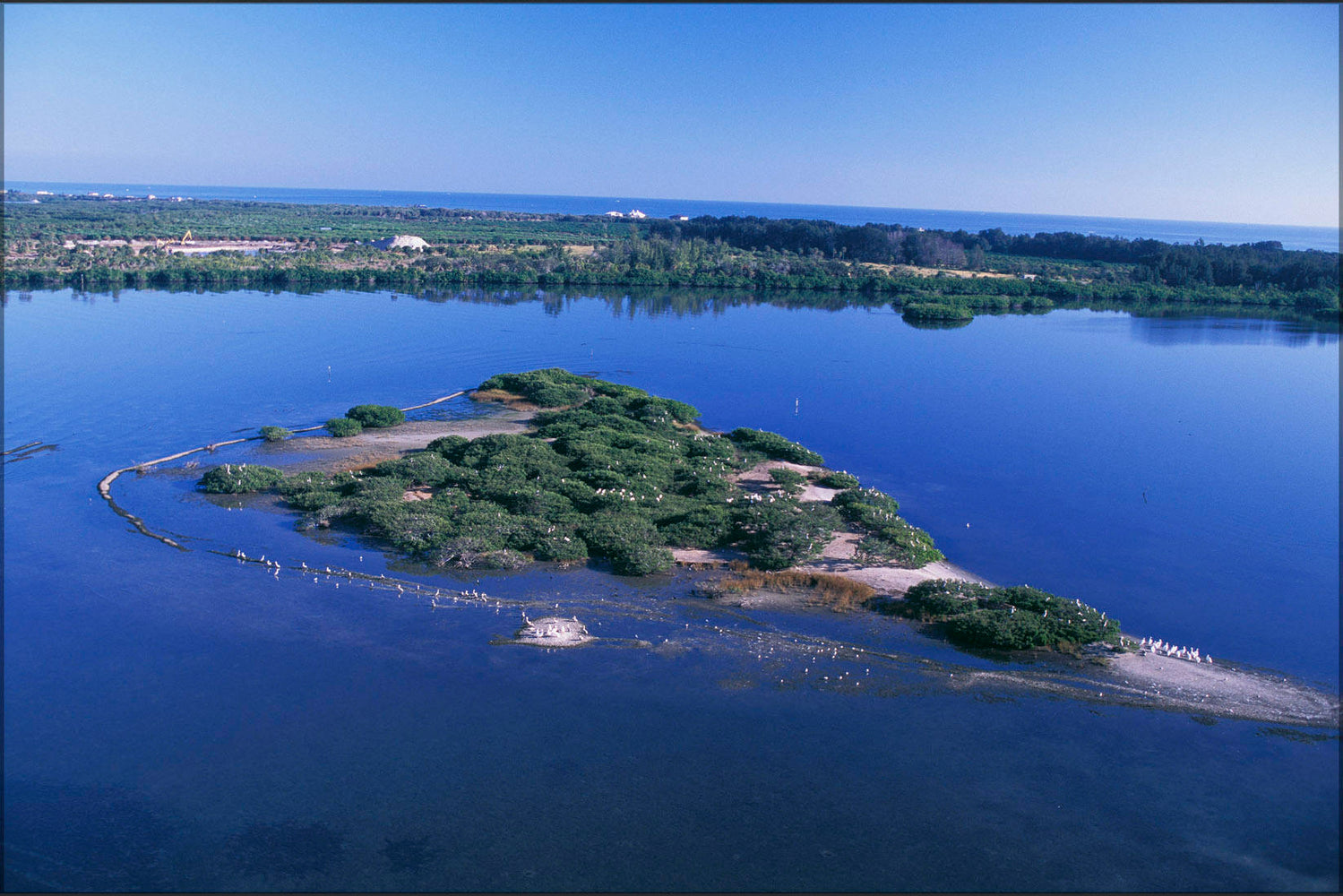 Poster, Many Sizes Available; Aerial Of Pelican Island National Willdife Refuge