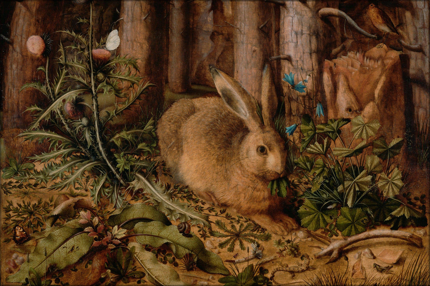 Poster, Many Sizes Available; Hare Rabbit In The Forest By Hans Hoffmann 1585