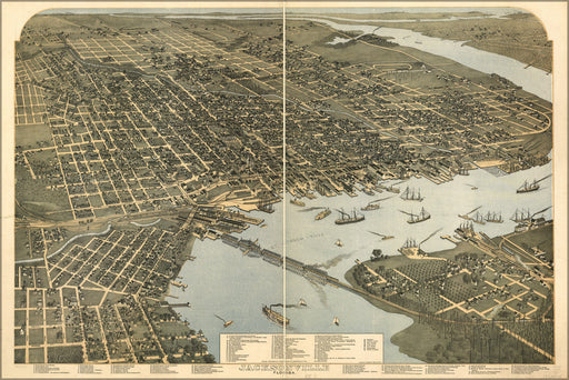 Poster, Many Sizes Available; Map Of Jacksonville, Florida 1893