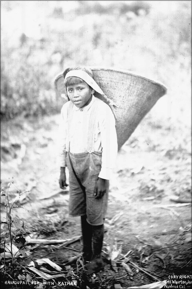 Poster, Many Sizes Available; Havasupai Indian Boy, Pa Ga Thi Ye, Carrying A_Kathak_Or Basket On His Back, Ca.1900 Chs 3382