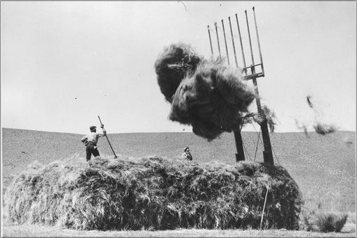 Poster, Many Sizes Available; Hay Operation At Duckwater Reservation Idaho And Nevada . Gene Thompson Mission And Drew Mike Piaute . Nara 29