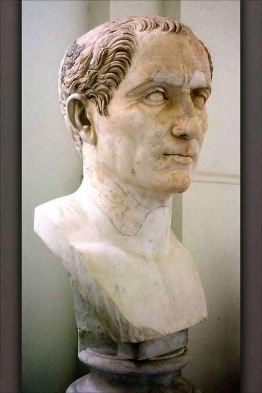 Poster, Many Sizes Available; Julius Caesar