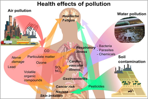 Poster, Many Sizes Available; Health Effects Of Pollution On Humans