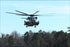 Poster, Many Sizes Available; Sikorsky Ch-53 Super Stallion Helicopter, Camp Lejeune