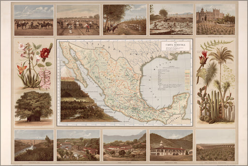 Poster, Many Sizes Available; Agricultural Map Of Mexico 1885