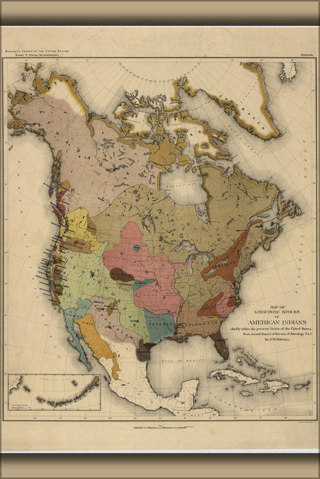 Poster, Many Sizes Available; Linguistic Map Of Native American Indians 1890