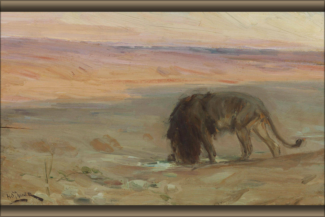 Poster, Many Sizes Available; Henry Ossawa Tanner Lion Drinking C.1897