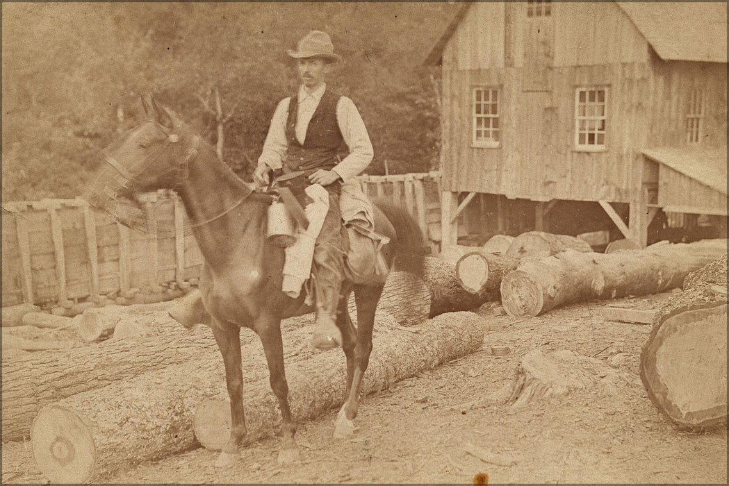 Poster, Many Sizes Available; Henry Ossawa Tanner Riding A Horse