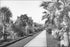 Poster, Many Sizes Available; Palm Trees And Other Plants Obscuring The Large Homes Lining Chester Place, Los Angeles, 1905 (1757) #031215