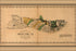 Poster, Many Sizes Available; Map Of Molokai Hawaii 1897