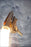 Poster, Many Sizes Available; Space Shuttle Endeavour Soars To Orbit From Launch Pad 39A