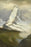 Poster, Many Sizes Available; Albert Bierstadt Matterhorn 02