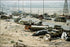 Poster, Many Sizes Available; Highway Of Death,Kuwait During Operation Desert Storm Highway 80