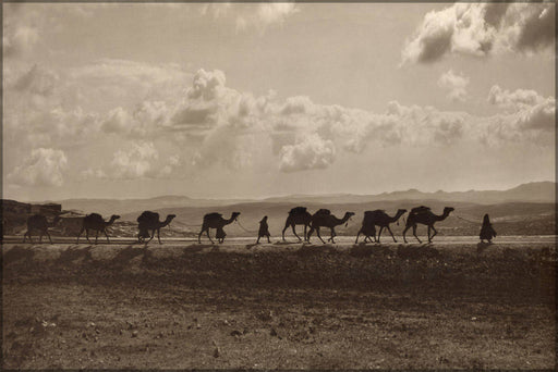 Poster, Many Sizes Available; Camel Transport Egypt Passing Over Olivet, 1918