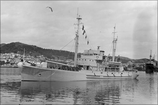 Poster, Many Sizes Available; Hmnzs Endeavour, The Antarctic Expedition Ship, Wellington Harbour, 1956 Front Side View