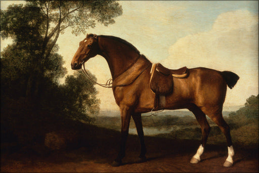 Poster, Many Sizes Available; George Stubbs A Saddled Bay Hunter