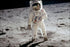 Poster, Many Sizes Available; Man On The Moon Buzz Aldrin Apollo 11