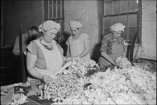 Poster, Many Sizes Available; Holyoke, Massachusetts Paper. American Writing Paper Co. Rag Sorting French . Nara 518337