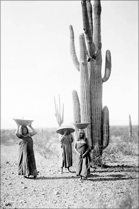 Poster, Many Sizes Available; Maricopa Women Native American Indian Arizona By Curtis 1907