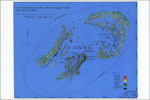 Poster, Many Sizes Available; Coral Map Of Dry Tortugas Florida 1881 (Pub 1979)