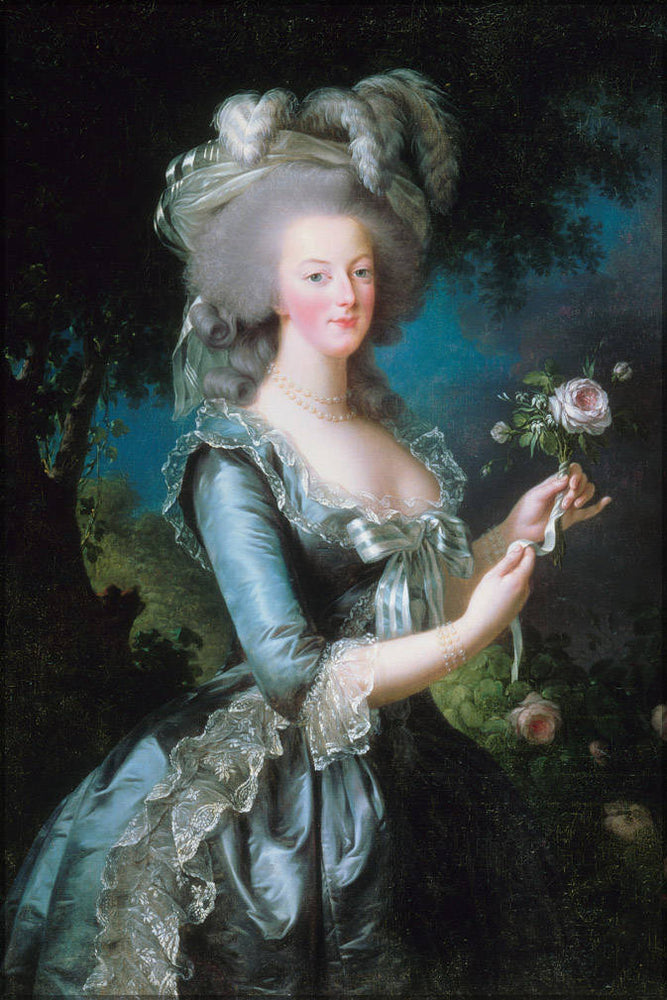 Poster, Many Sizes Available; Marie-Antoinette With The Rose By Elisabeth Vigee-Lebrun