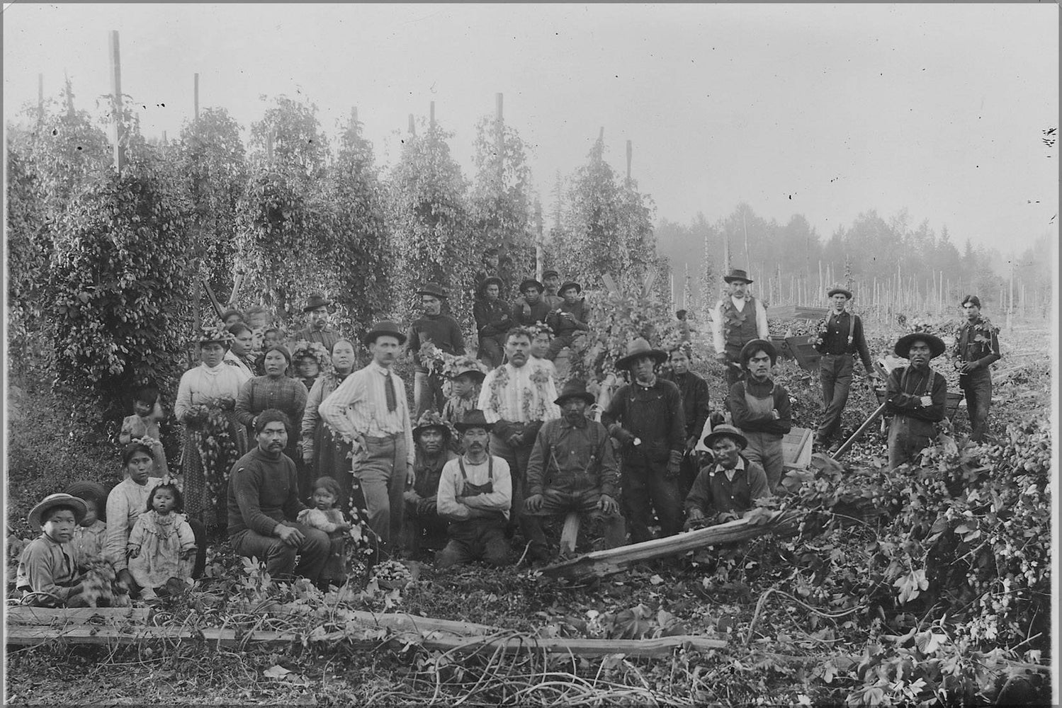 Poster, Many Sizes Available; Hop Pickers In The State Of Washington. Nara 297886