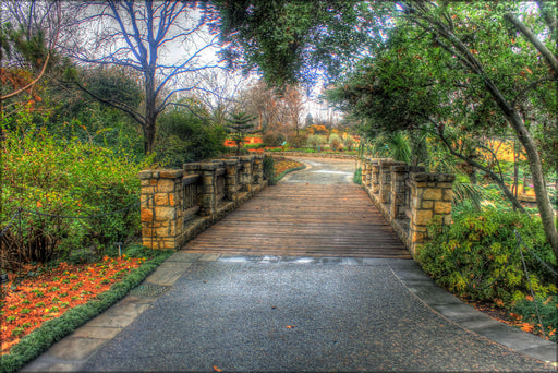 Poster, Many Sizes Available; Gfp Dallas Texas Bridge Walkway Arboretum