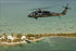 Poster, Many Sizes Available; Customs & Border Patrol Sikorsky Uh-60 Blackhawk Helicopter H-60