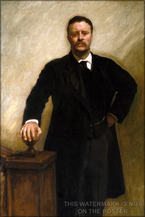 Poster, Many Sizes Available; President Theodore Roosevelt Official White House Portrait