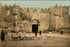 Poster, Many Sizes Available; Damascus Gate Around 1900