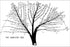 Poster, Many Sizes Available; Tree Of Us Army Computer Evolution From Eniac To 1961 History