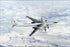 Poster, Many Sizes Available; Tupolev Tu-142, Bear J