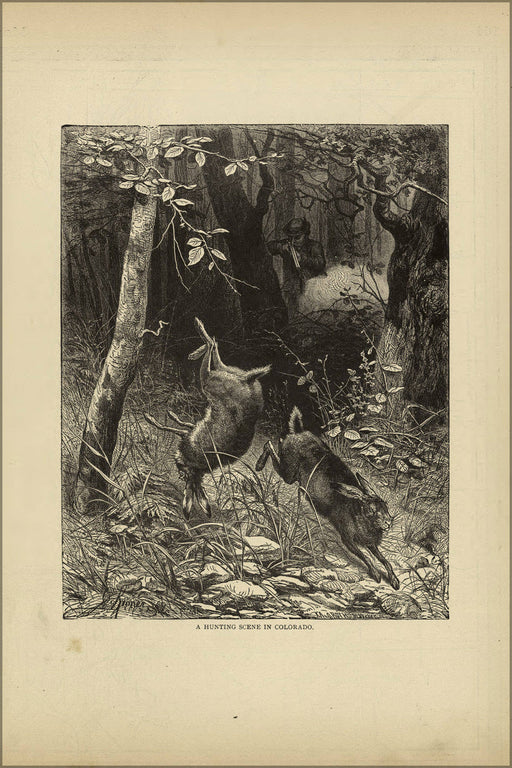 Poster, Many Sizes Available; Rabbit Hunting In Colorado 1881