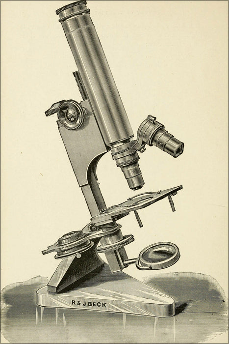 Poster, Many Sizes Available; Microscope 1893