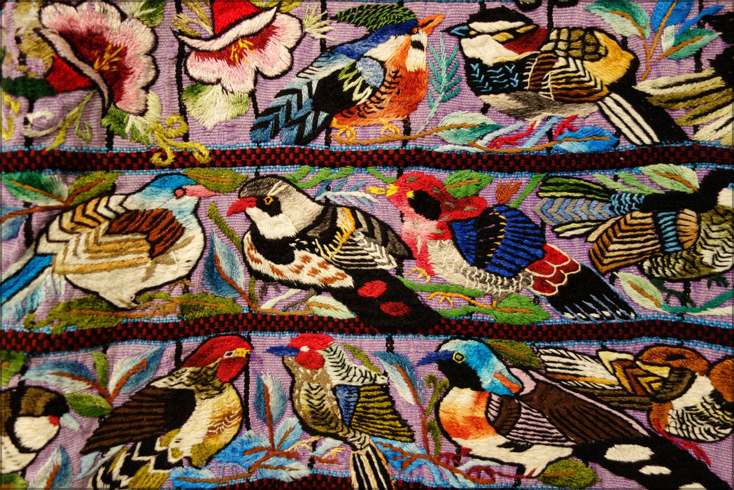 Poster, Many Sizes Available; Huipil, Tz'Utujil Maya, Santiago Atatlan, Late 20Th Century, View 2, Cotton Textile Museum Of Canada Dsc01080