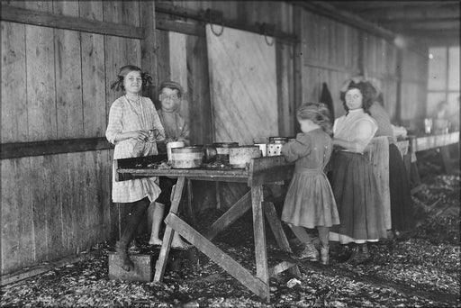 Poster, Many Sizes Available; A Group Of Shrimp Pickers In Peerless Oyster Co., Working During Short Noon Recess. Many Workers, Including Th