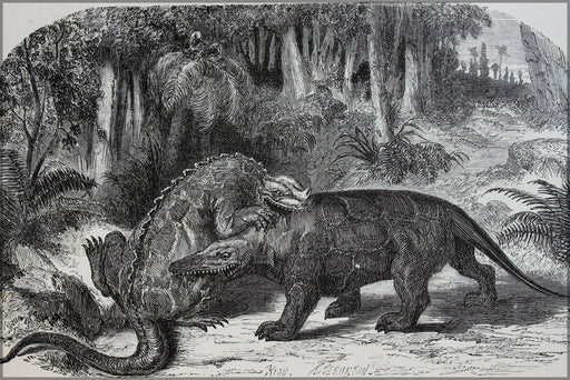 Poster, Many Sizes Available; Iguanodon Battling Megalosaurus By Edouard Riou C1863