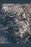 Poster, Many Sizes Available; Yosemite National Park From Space