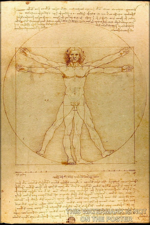 Poster, Many Sizes Available; Vitruvian Man (C. 1485) Accademia, Venice Leonardo Da Vinci