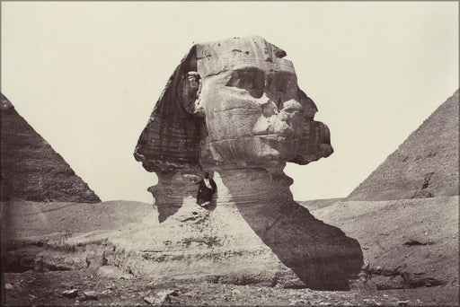 Poster, Many Sizes Available; Great Sphinx Of Giza By Felix Bonfils, 1888