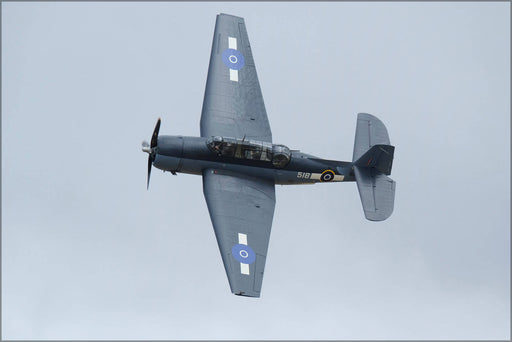 Poster, Many Sizes Available; Grumman Tbf-1C Avenger P2