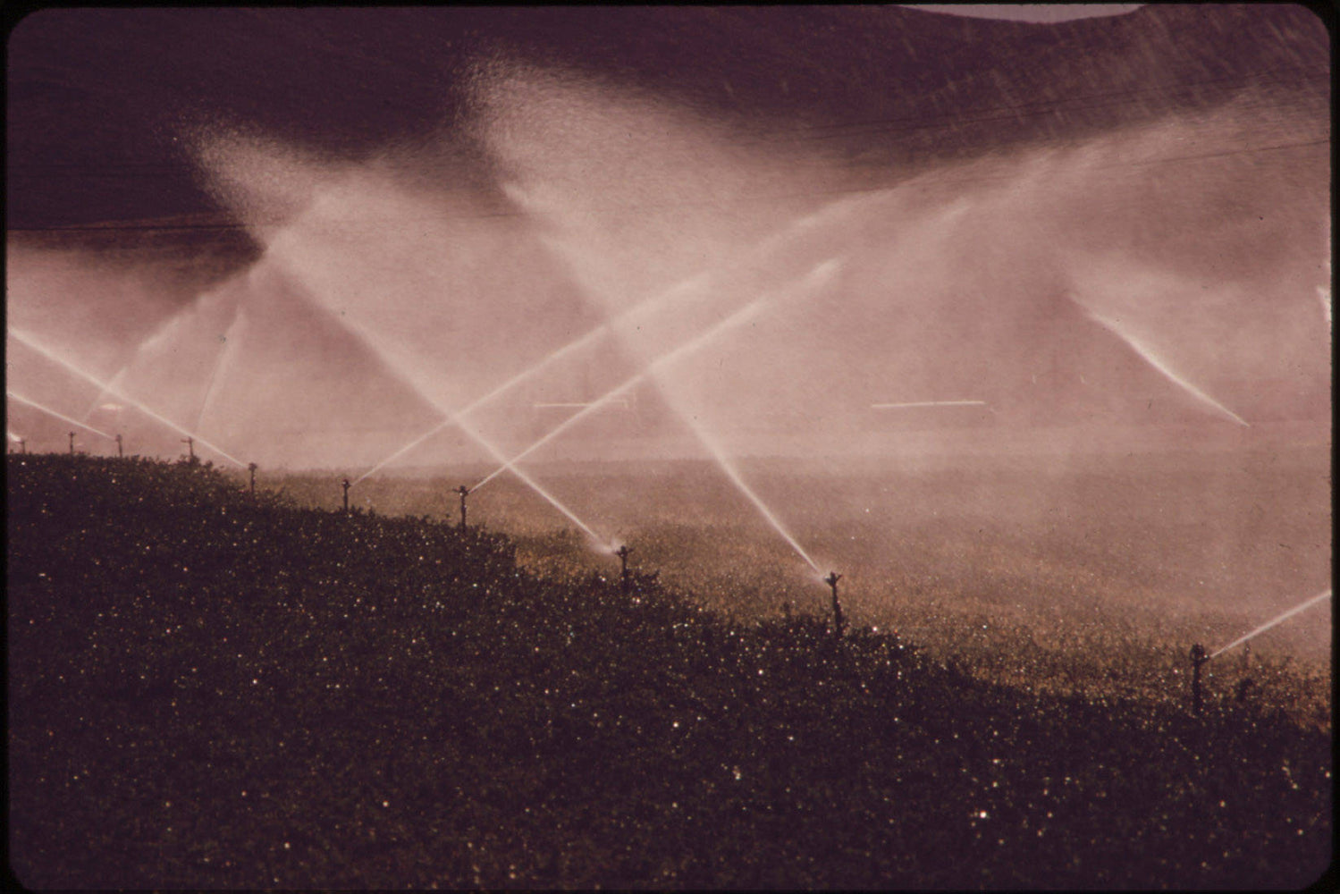 Poster, Many Sizes Available; Irrigation On Experimental Farm Operated By Epa&#39;S Las Vegas National Research Center Nara 548953